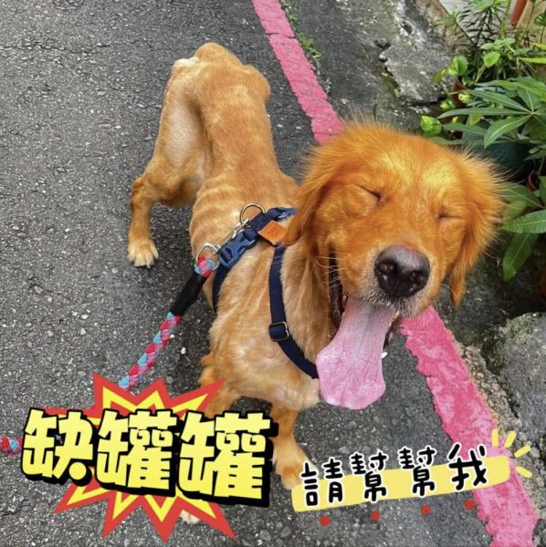 我們又缺罐罐了