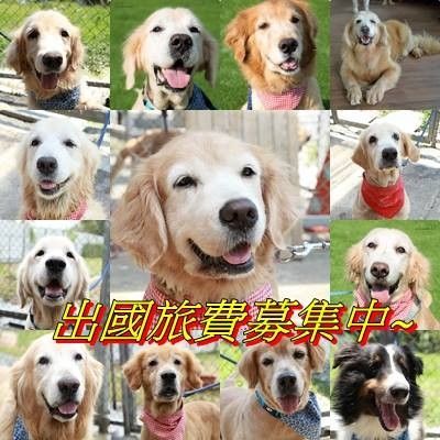 出國旅費贊助